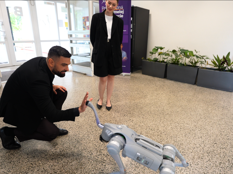 IMG 9088 – upravene